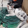  サムネイル3