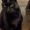  サムネイル3