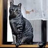  サムネイル2