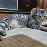  サムネイル3