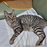  サムネイル5