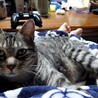  サムネイル6