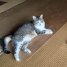  サムネイル2