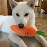  サムネイル2