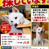 サムネイル3