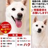  サムネイル4