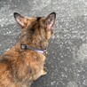  サムネイル2