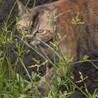  サムネイル3
