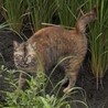  サムネイル4