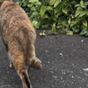  サムネイル5
