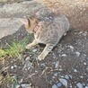  サムネイル2