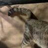  サムネイル3