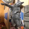  サムネイル2