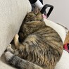 サムネイル2