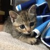  サムネイル3