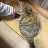 サムネイル4