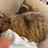  サムネイル5