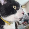  サムネイル2