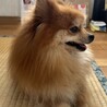  サムネイル3