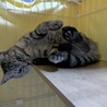  サムネイル2