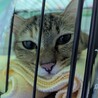  サムネイル2