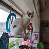  サムネイル3