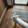 サムネイル2