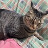  サムネイル2