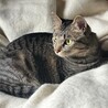  サムネイル3