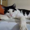  サムネイル2