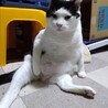  サムネイル3