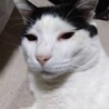 サムネイル4