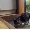 サムネイル2