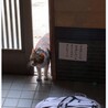  サムネイル3