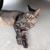  サムネイル2