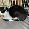  サムネイル3
