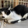  サムネイル5