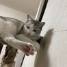 サムネイル2