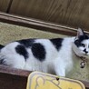  サムネイル2
