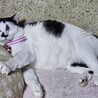  サムネイル3