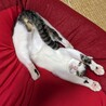  サムネイル2