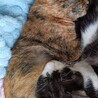  サムネイル2