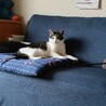  サムネイル2