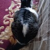  サムネイル3