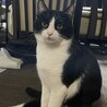  サムネイル2