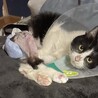  サムネイル4