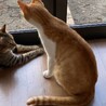  サムネイル2