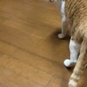  サムネイル3