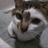  サムネイル2