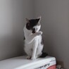  サムネイル3